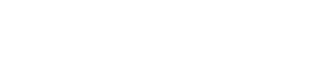 BonusMeister Logo
