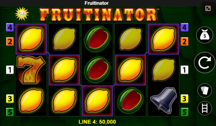 Fruitinator Gewinn