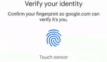 Google Pay Fingerabdruck