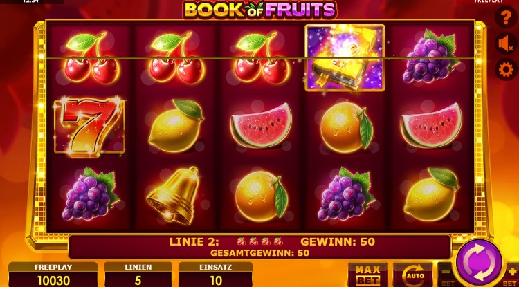 Book of Fruits Amatic Spielautomat