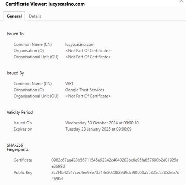 Lucy's Casino SSL-Verschlüsselung