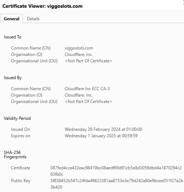 Viggoslots SSL-Verschlüsselung