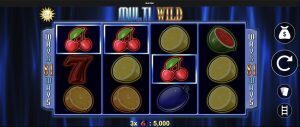Multi Wild Gewinn