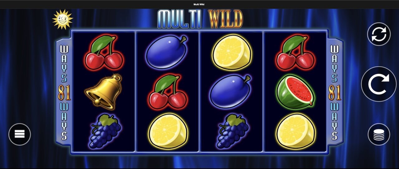 Multi Wild Slot