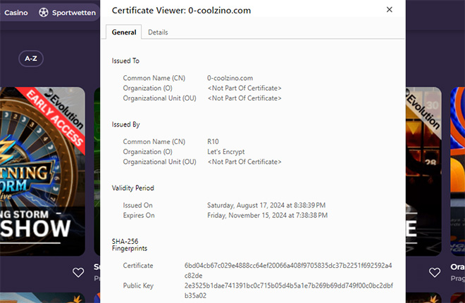 Coolzino SSL-Verschlüsselung