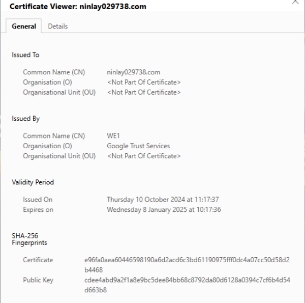 Ninlay SSL-Verschlüsselung