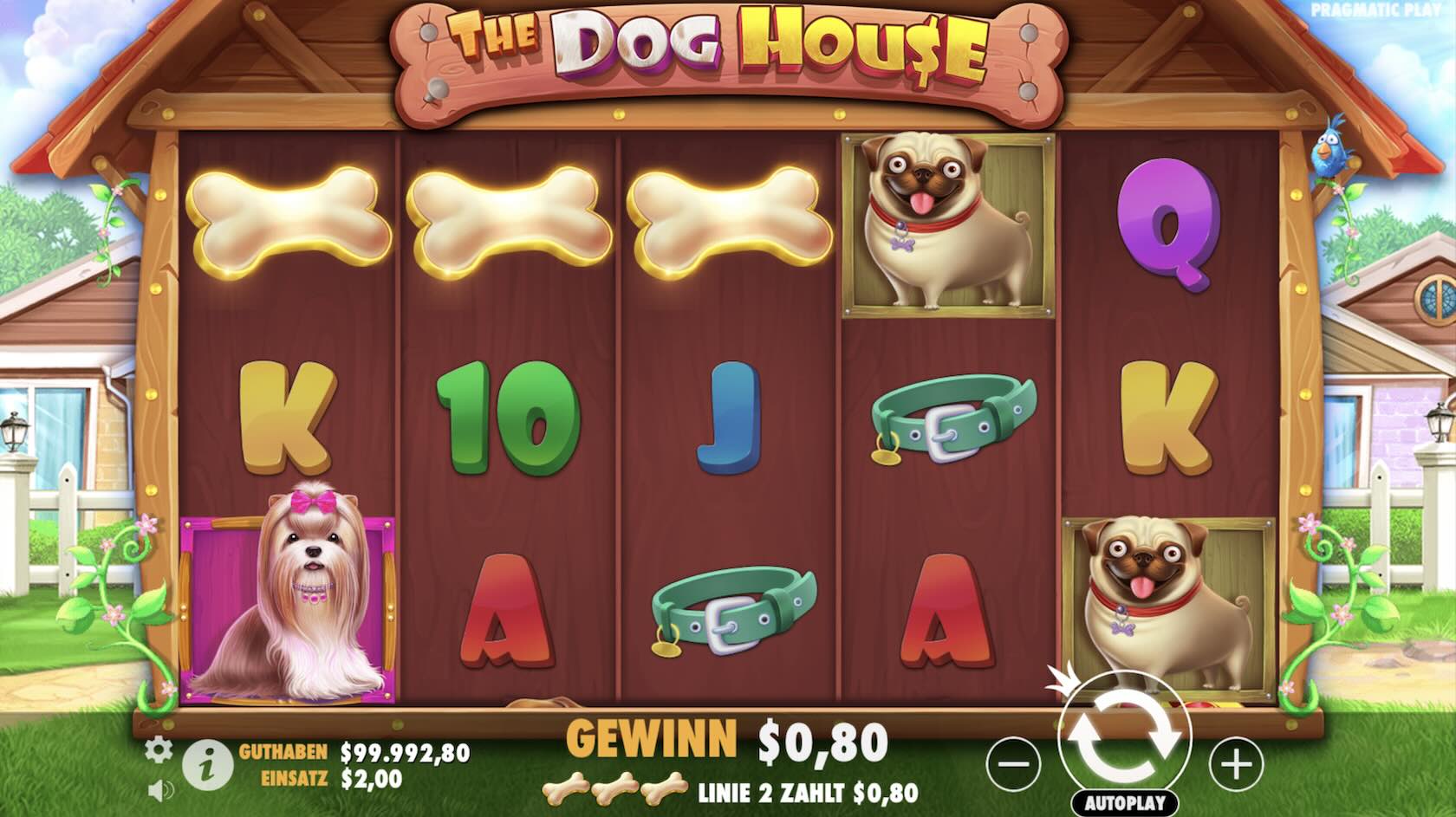 the-dog-house-gewinn