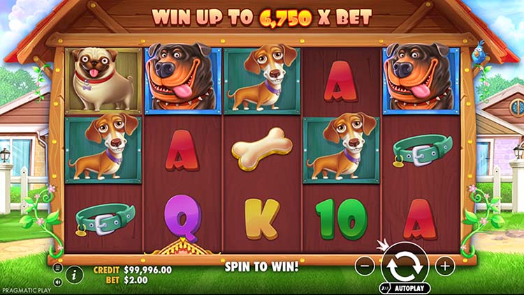 The Dog House kostenlos spielen